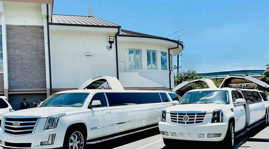 Limousine Shipping Services Dallas 2